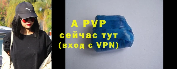 спиды Богородицк